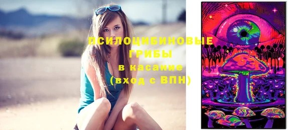 метадон Медвежьегорск
