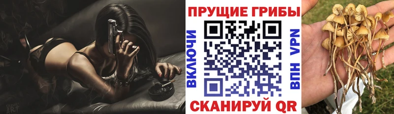 darknet формула  даркнет сайт  Нерехта  Псилоцибиновые грибы MAGIC MUSHROOMS 